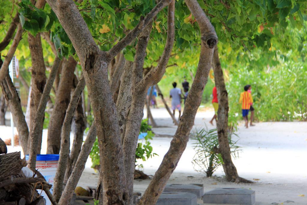 Rip Tide Vacation Inn, K.Guraidhoo Гурайдо Экстерьер фото