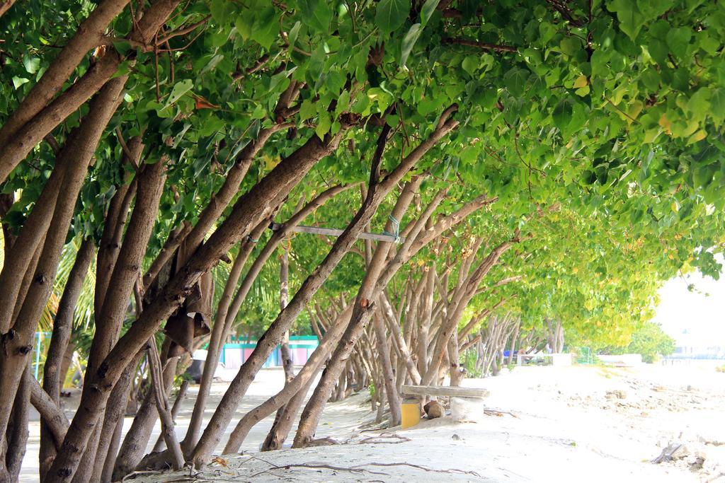 Rip Tide Vacation Inn, K.Guraidhoo Гурайдо Экстерьер фото