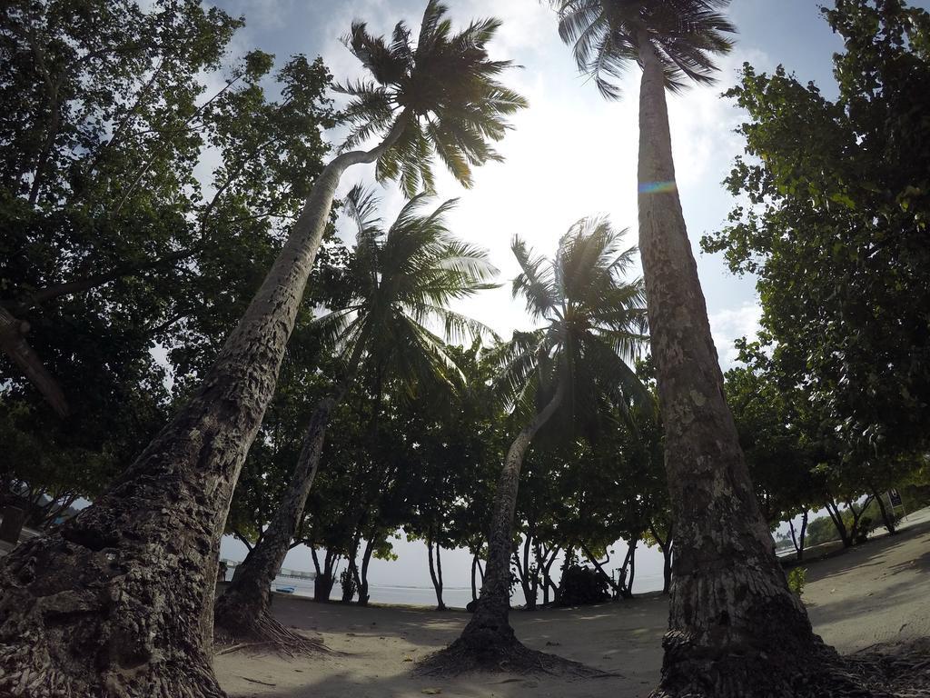 Rip Tide Vacation Inn, K.Guraidhoo Гурайдо Экстерьер фото