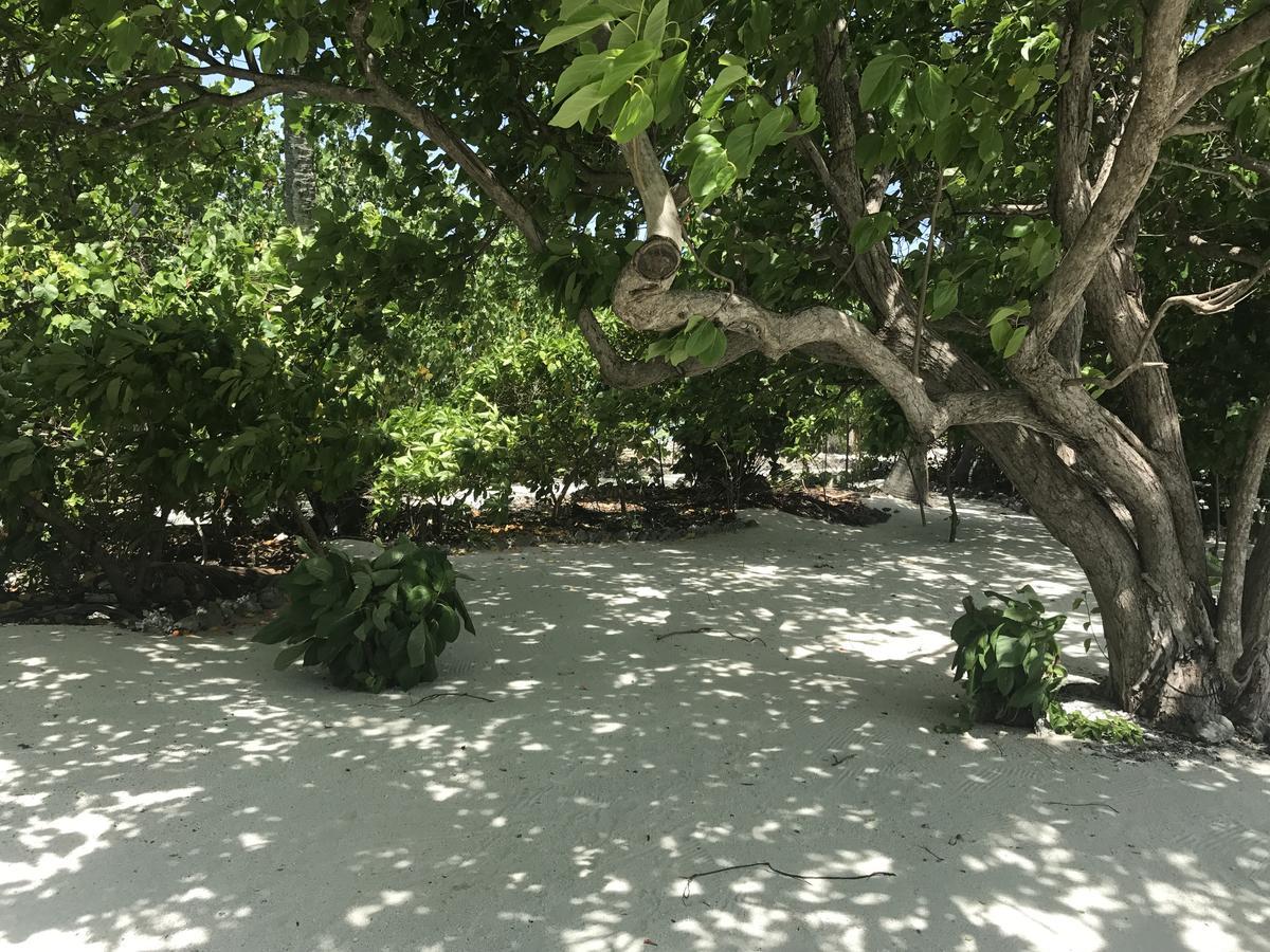 Rip Tide Vacation Inn, K.Guraidhoo Гурайдо Экстерьер фото